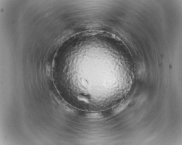 X0000070240281200606051132