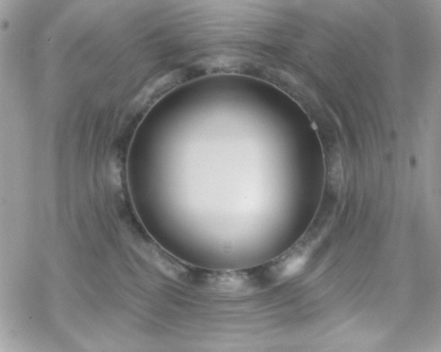 X0000070240282200606051132