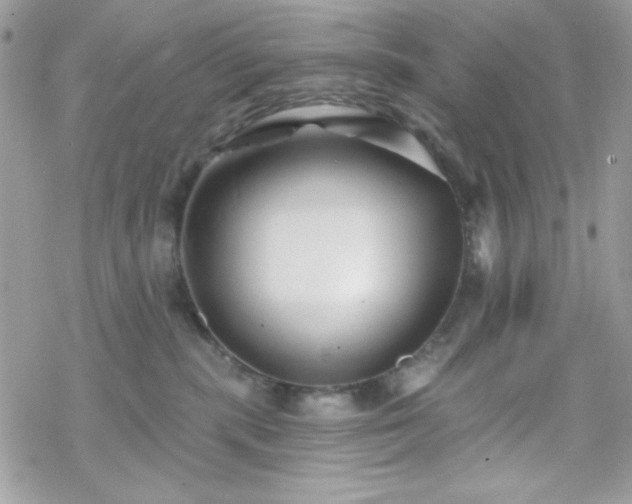 X0000070240283200606051132