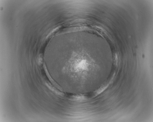 X0000070240284200606051132