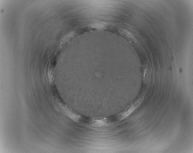 X0000070240285200606051132