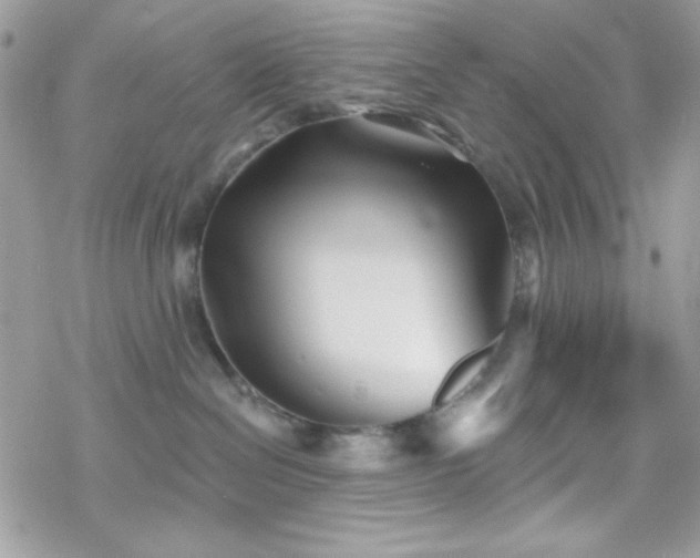 X0000070240286200606051132