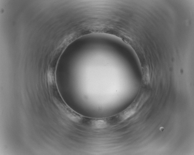 X0000070240287200606051132