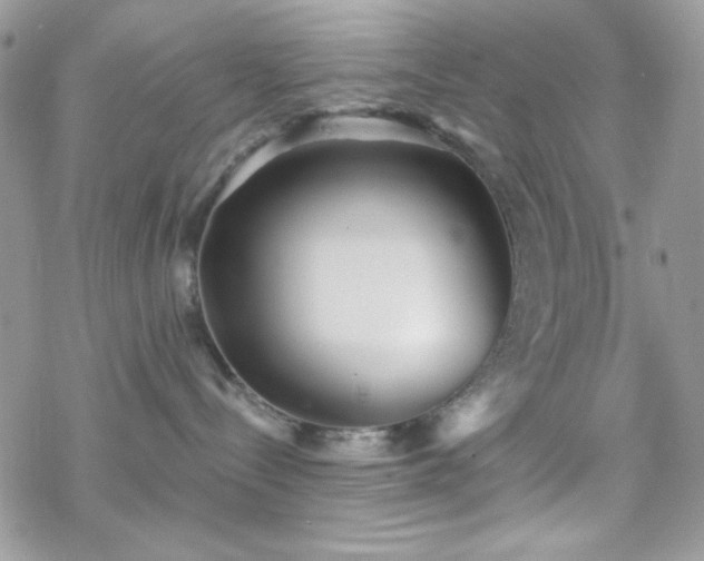 X0000070240288200606051132