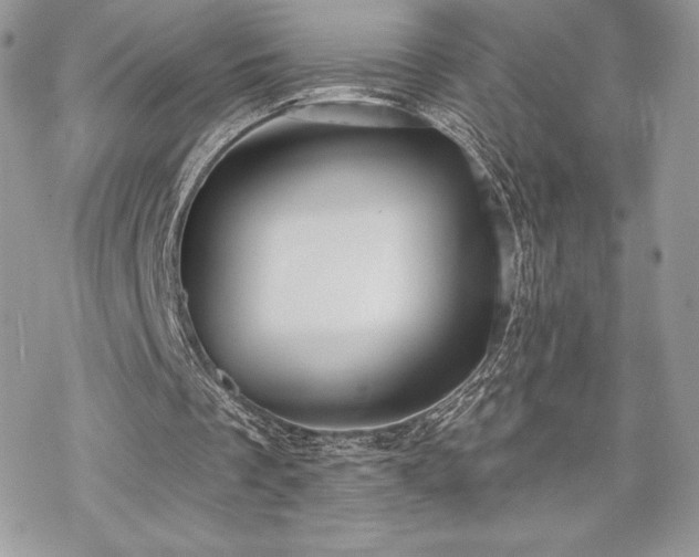 X0000070240289200606051132