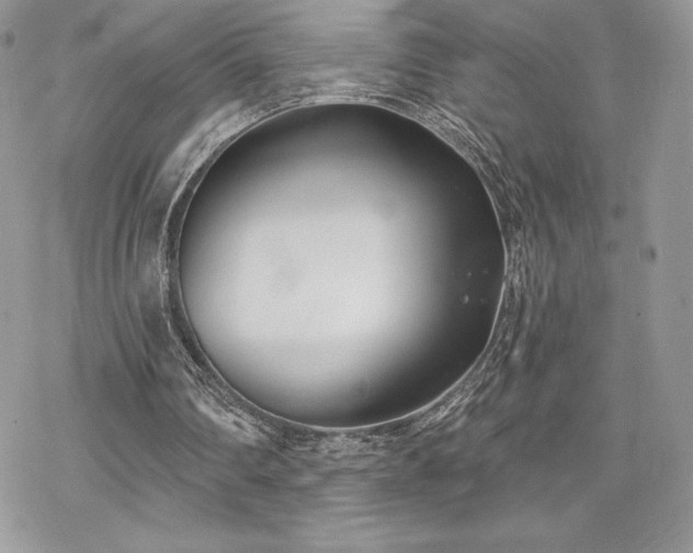 X0000070240290200606051132