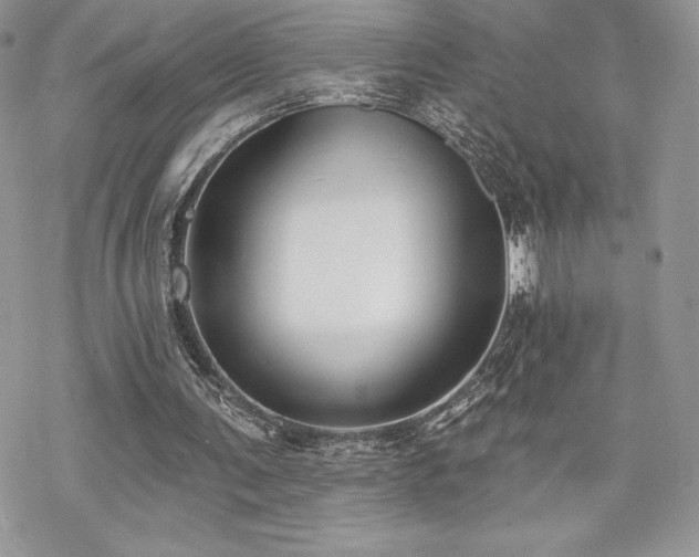 X0000070240291200606051132