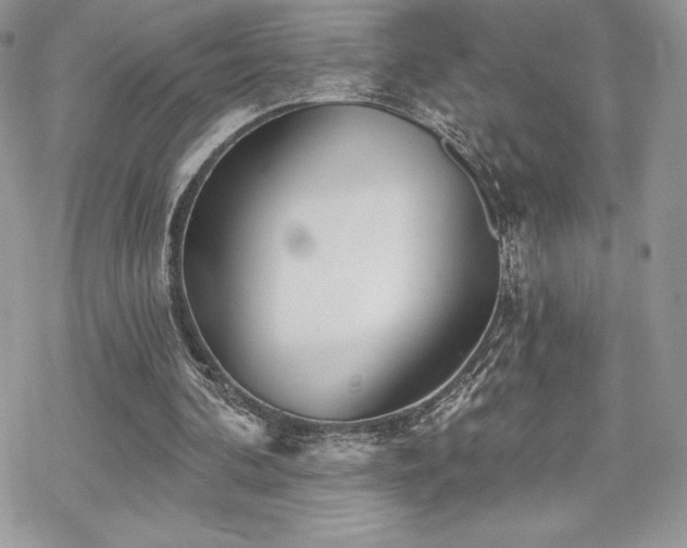 X0000070240292200606051132