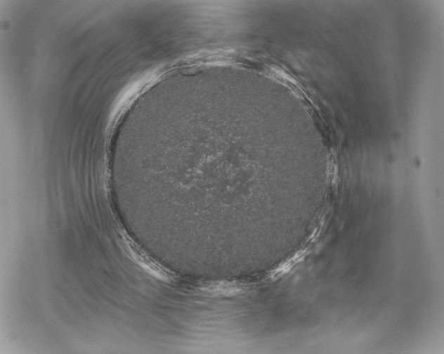 X0000070240293200606051132