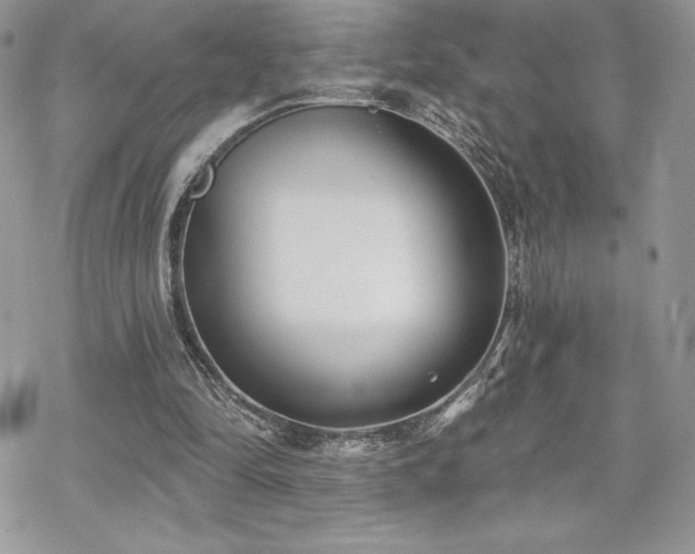 X0000070240294200606051132