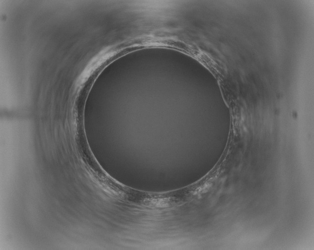 X0000070240295200606051132