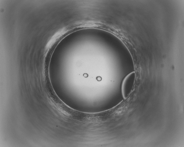 X0000070240296200606051132