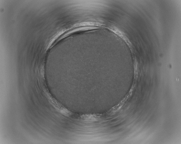 X0000070240297200606051132