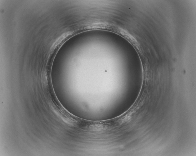 X0000070240298200606051132