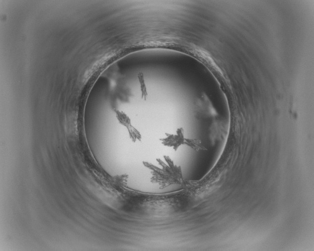 X0000070240299200606051132