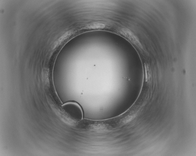 X0000070240300200606051132