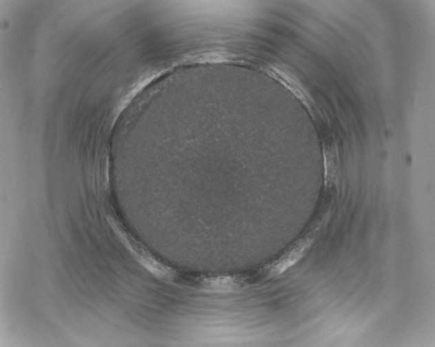 X0000070240301200606051132