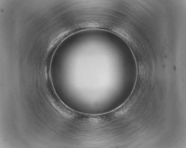 X0000070240302200606051132