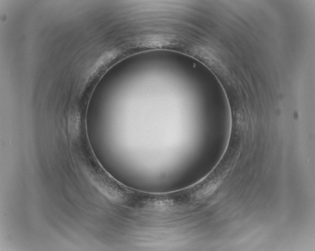 X0000070240304200606051131