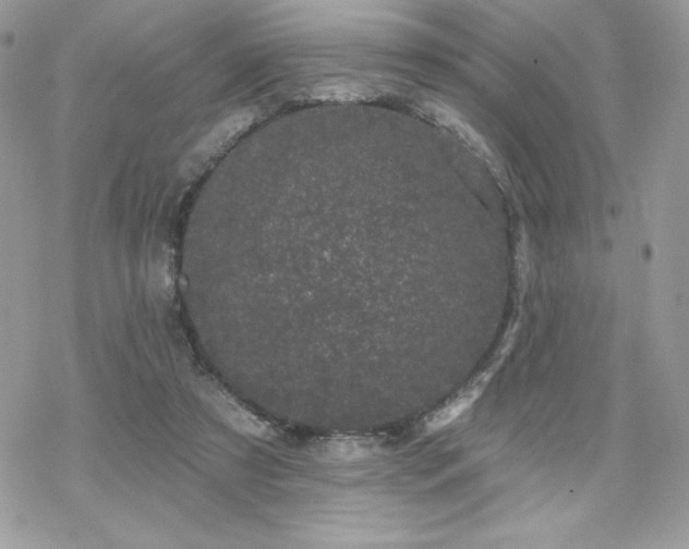 X0000070240305200606051131