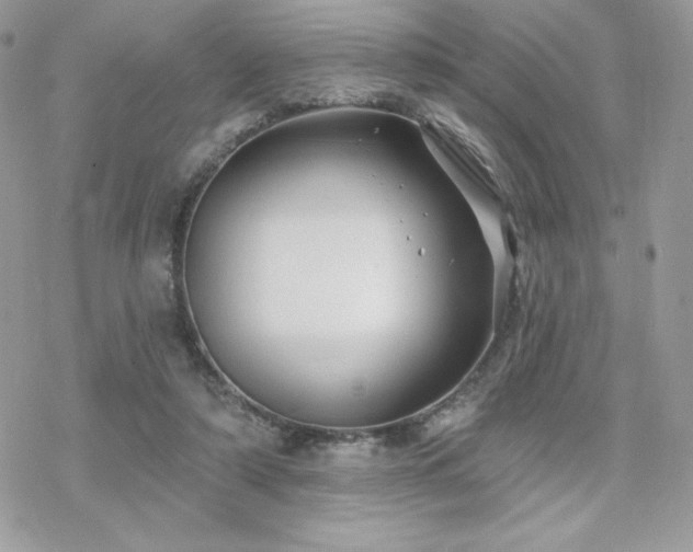 X0000070240306200606051131