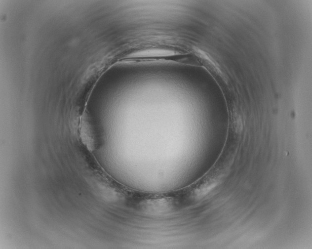 X0000070240307200606051131