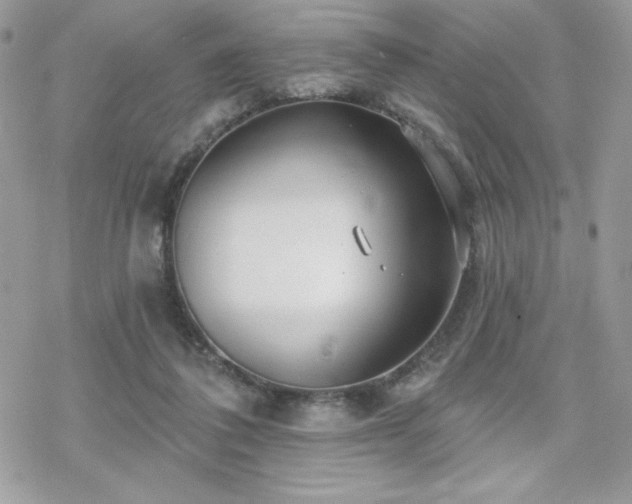 X0000070240308200606051131