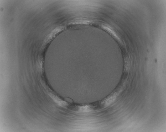 X0000070240309200606051131