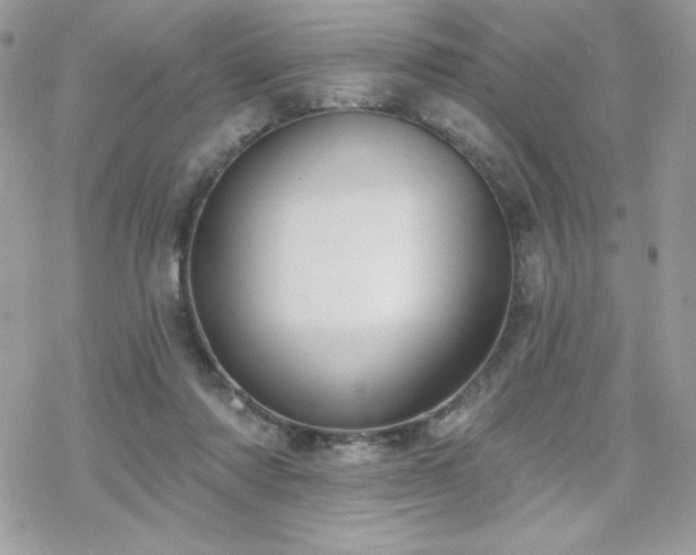 X0000070240310200606051131