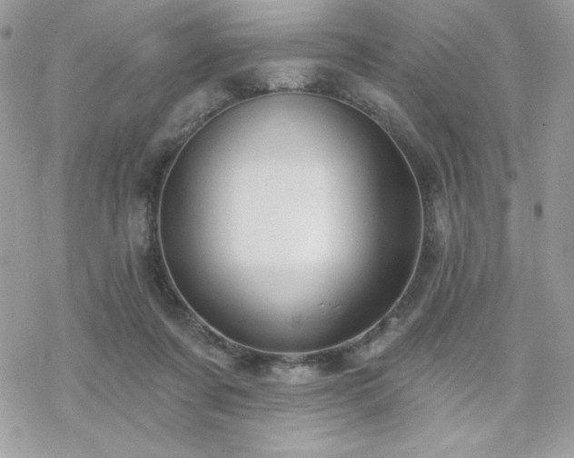 X0000070240311200606051131