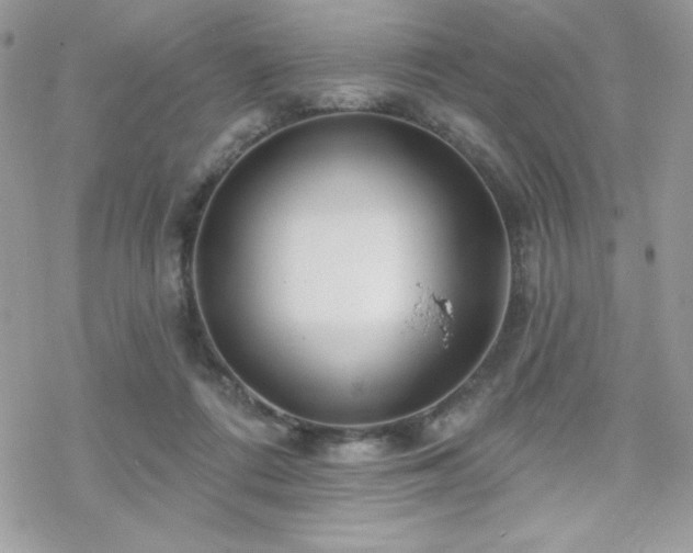 X0000070240312200606051131