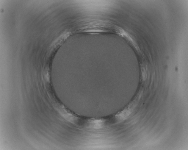 X0000070240313200606051131