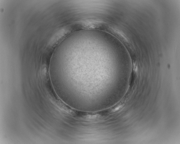 X0000070240314200606051131