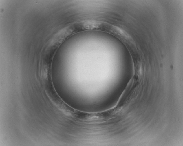 X0000070240315200606051131