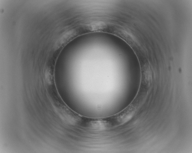 X0000070240316200606051131