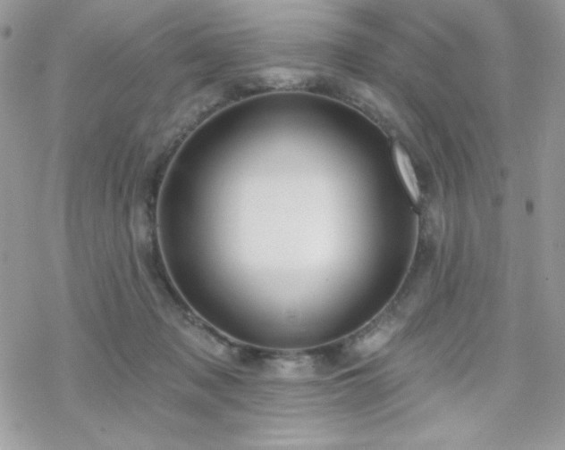 X0000070240317200606051131