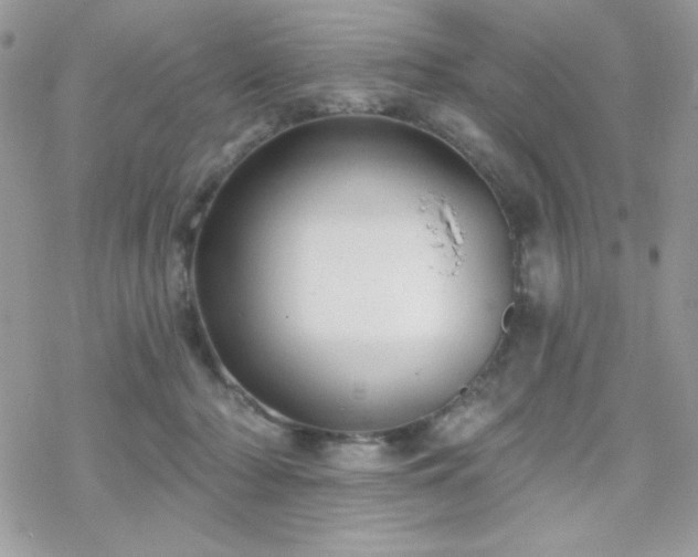 X0000070240318200606051131