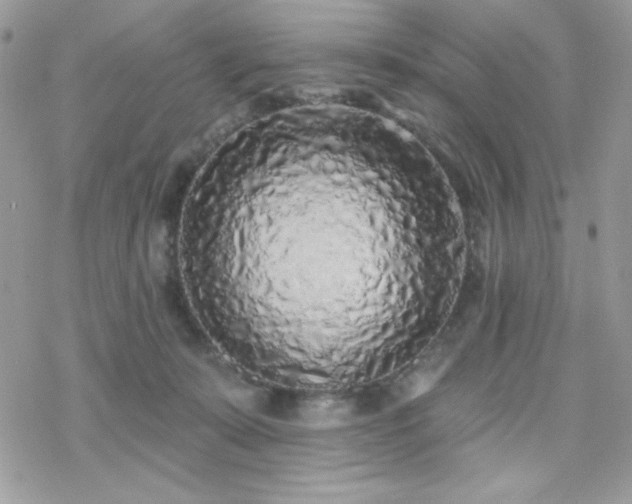 X0000070240319200606051131