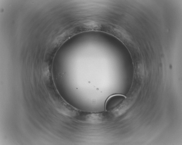 X0000070240320200606051131