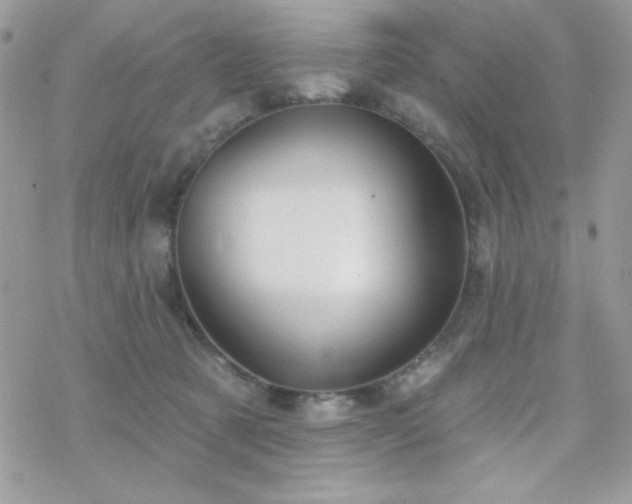 X0000070240321200606051131