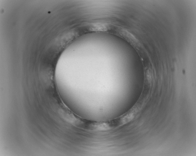 X0000070240322200606051131