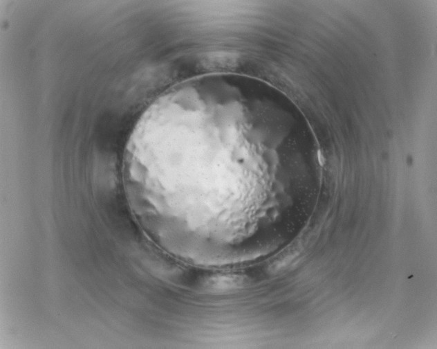 X0000070240323200606051131