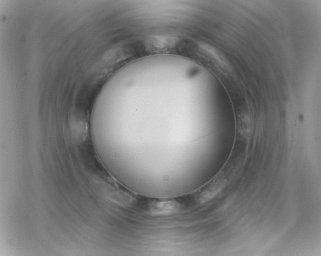 X0000070240324200606051131