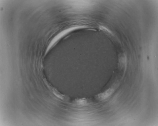 X0000070240325200606051131