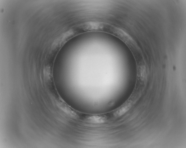 X0000070240326200606051131