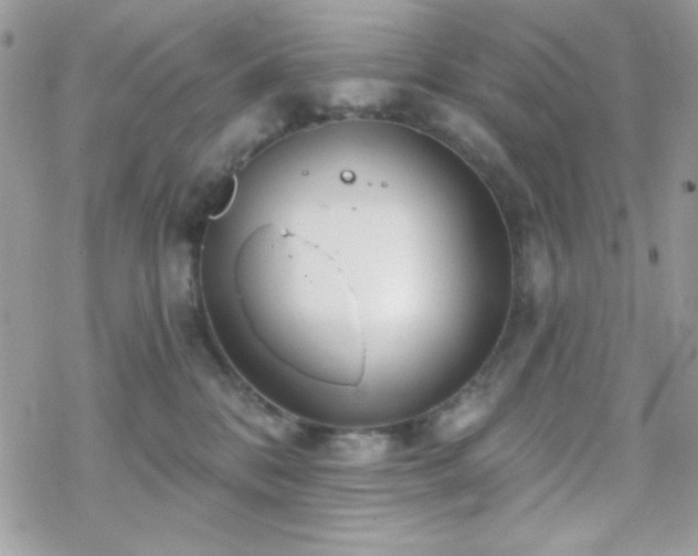 X0000070240328200606051131