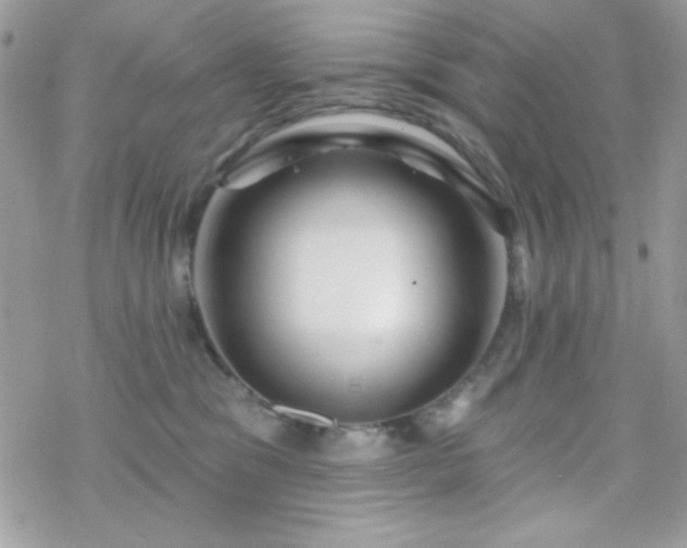 X0000070240329200606051131