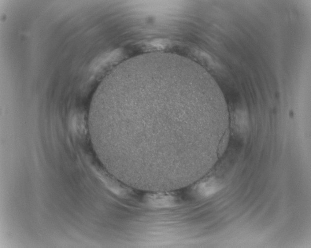 X0000070240331200606051131