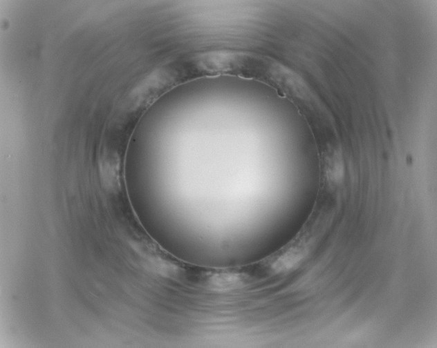 X0000070240332200606051131