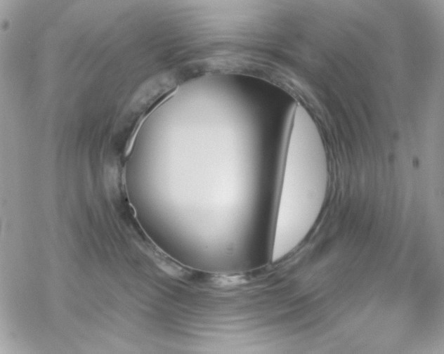 X0000070240333200606051131